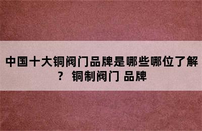 中国十大铜阀门品牌是哪些哪位了解？ 铜制阀门 品牌